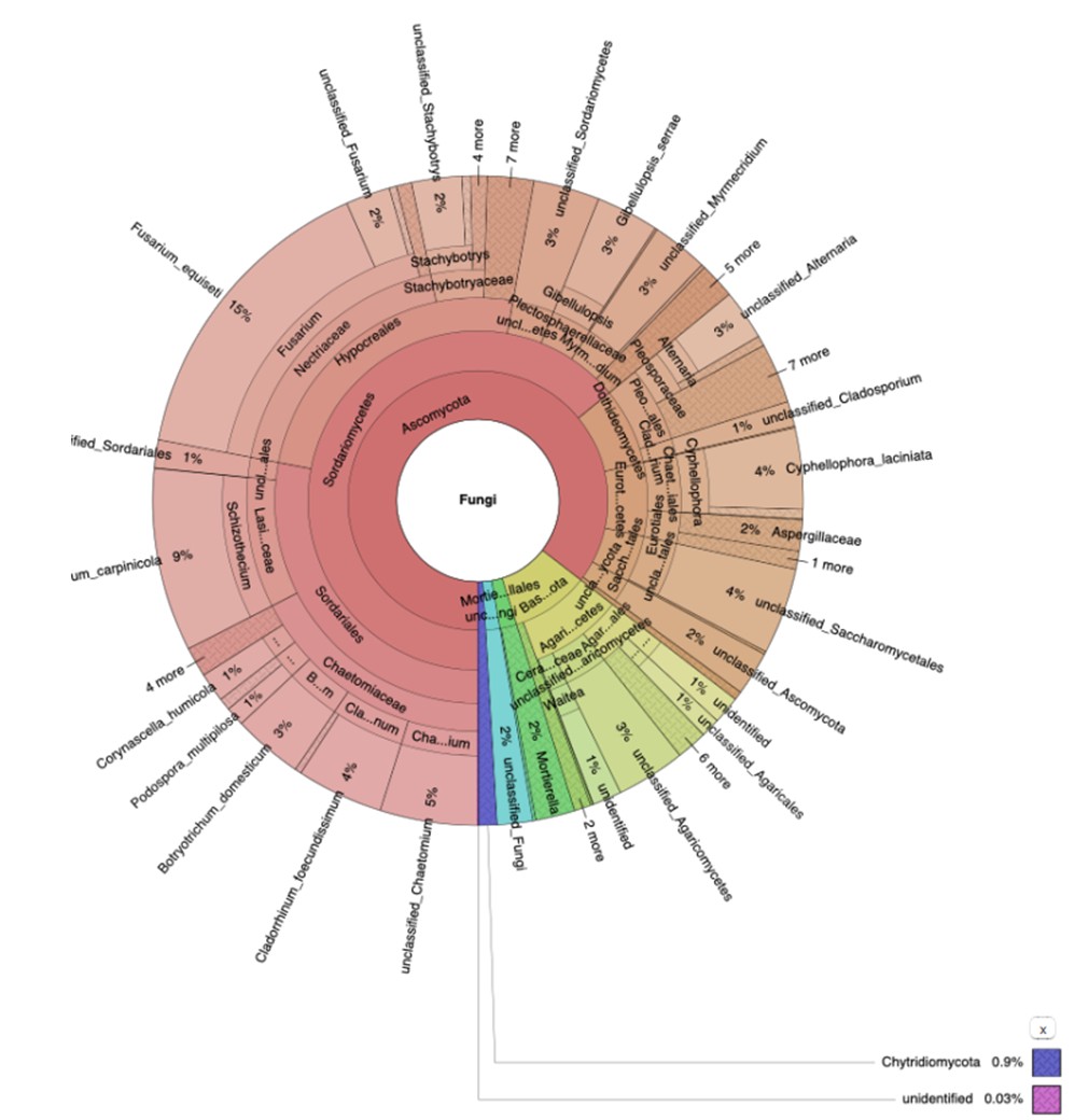 Illustration d'analyse du microbiote